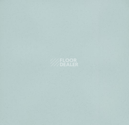 Линолеум Forbo Eternal Colour 40712 pale фото 1 | FLOORDEALER